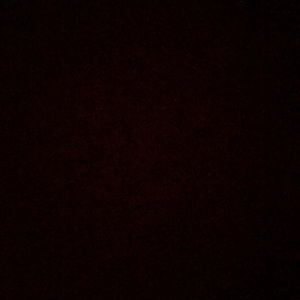 Meet your Posher, Alana